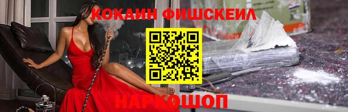 COCAIN Fish Scale  COCAIN Боливия  Александров  COCAIN  Вход с VPN 