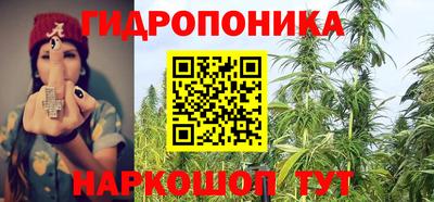 гидропоника Старая Купавна